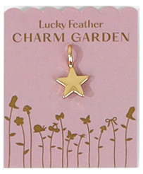 Star Charm