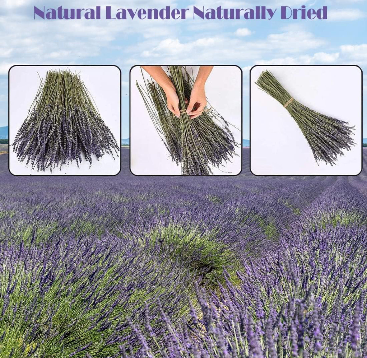 Lavender Bouquet